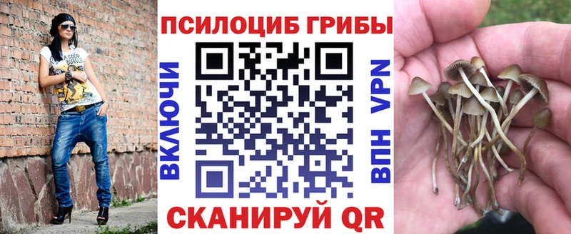 Купить закладки  Кочубеевское  Галлюциногенные грибы MAGIC MUSHROOMS 